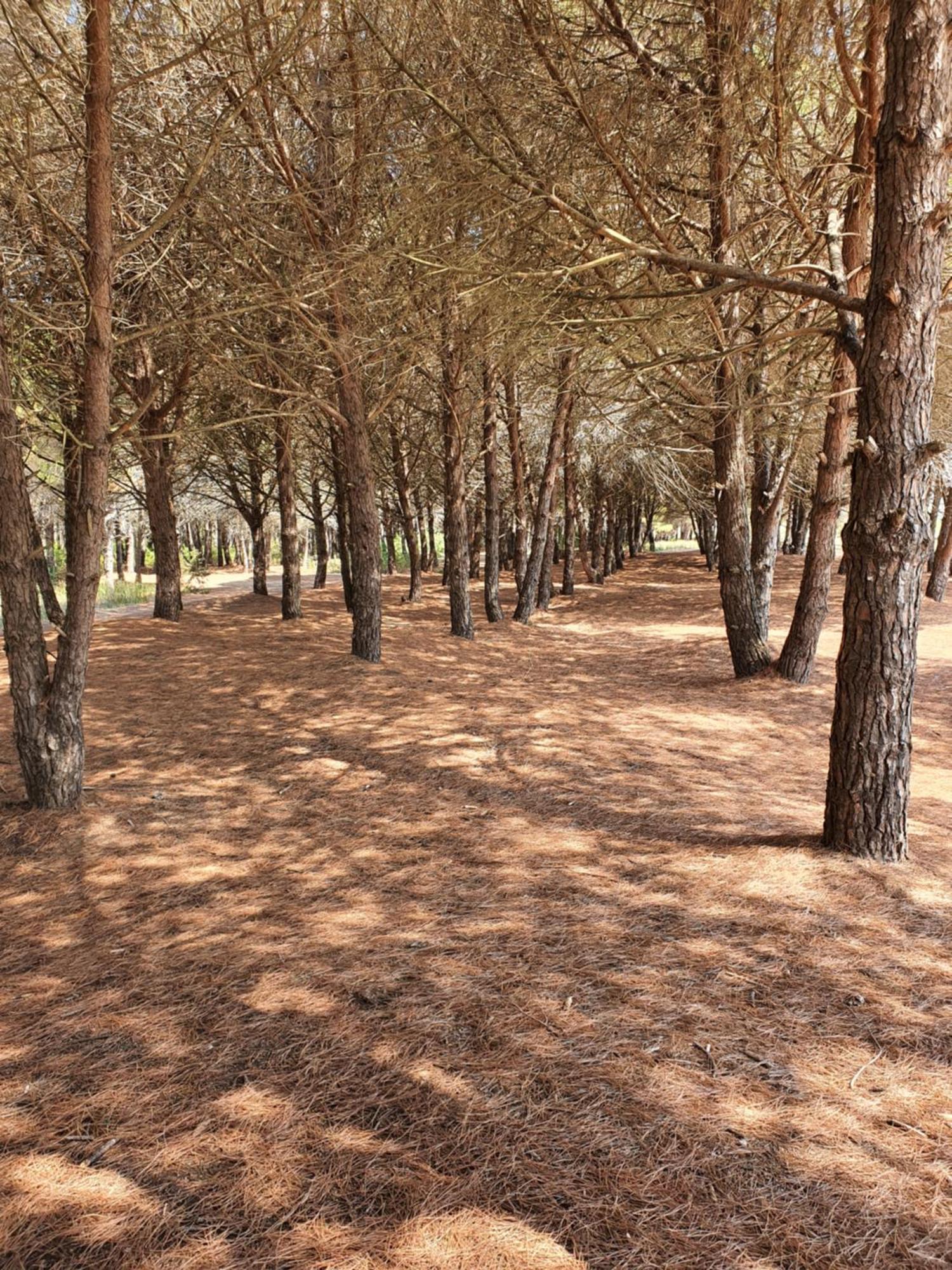 Amber Hotel Albania سبيل المظهر الخارجي الصورة
